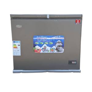 Congélateur Coffre - ROCH - Économique - 244 Litres - Gris