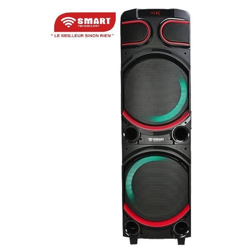 Haut-Parleur Rechargeable -STHP-3080E -1000W- 2x10'' – Bluetooth – USB – AUX – 2xMicros – Télécommande – Noir